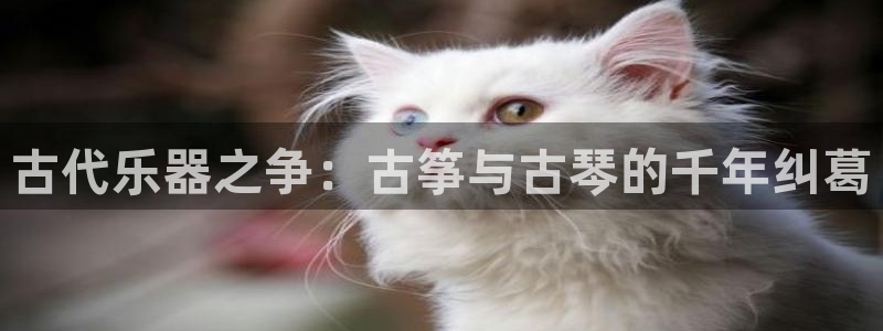 凯发k8娱乐手机版官网