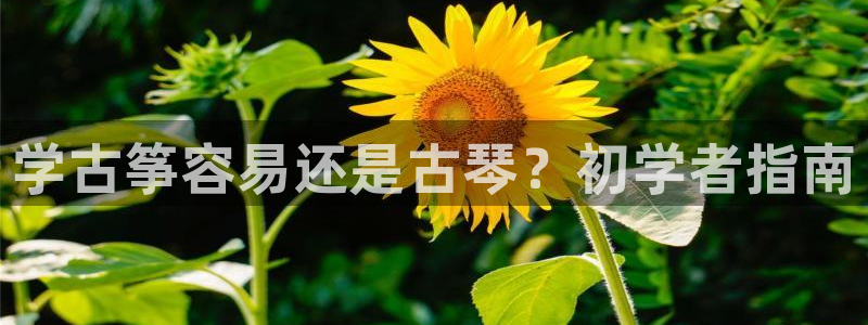 凯发k8国际娱乐版