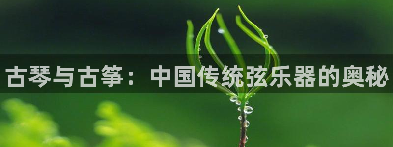 凯发手机客户端下载