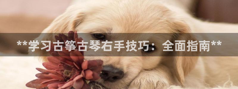 凯发旗舰网站