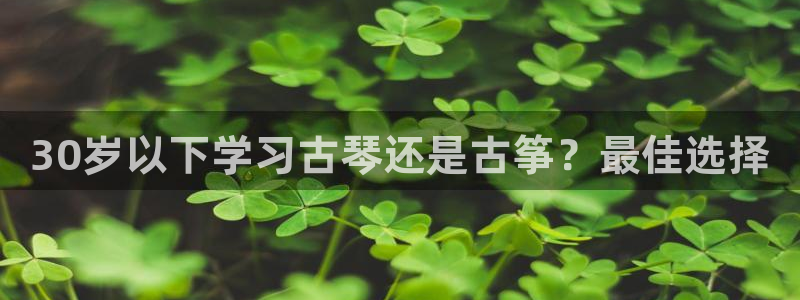 凯发k8全球公开