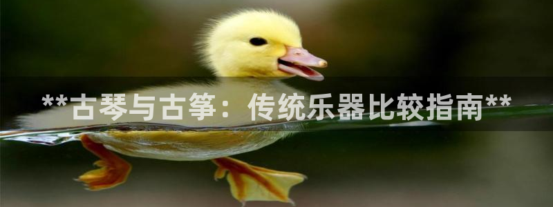 凯发官方网站是多少