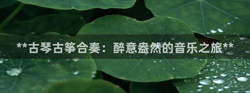凯发国际网址官网