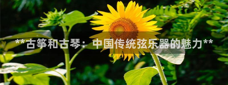 凯发一触即发