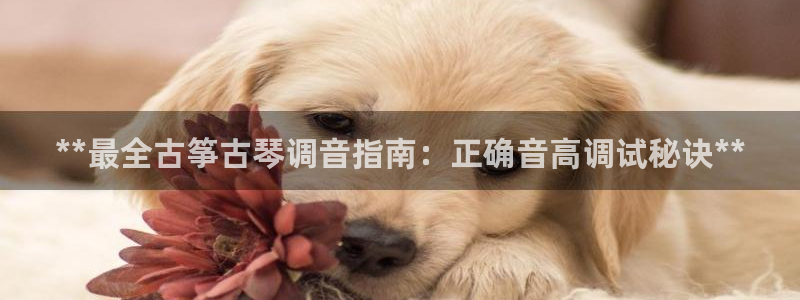 凯发k8登录首页