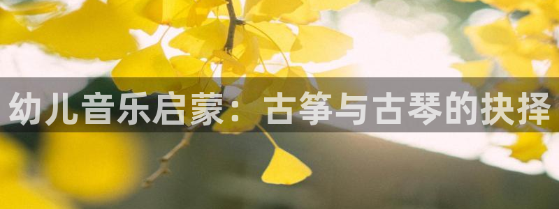 凯发国际平台登录不上