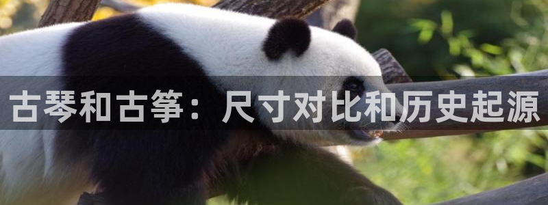 凯发k8娱乐官网手机端中心