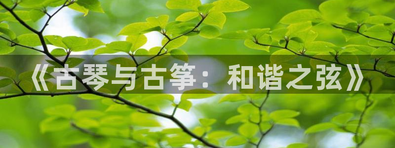 凯发k8娱乐官方下载：《古琴与古筝：和谐之弦》
