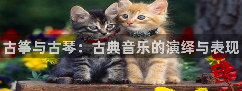 凯发唯一官方网站：古筝与古琴：古典音乐的演绎与表现
