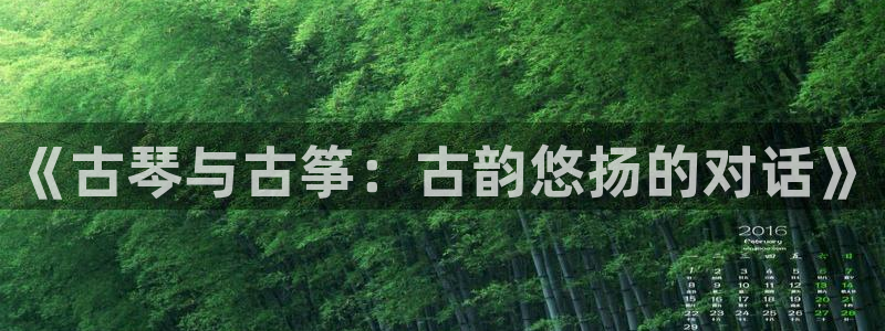 凯发k8娱乐旗舰：《古琴与古筝：古韵悠扬的对话》
