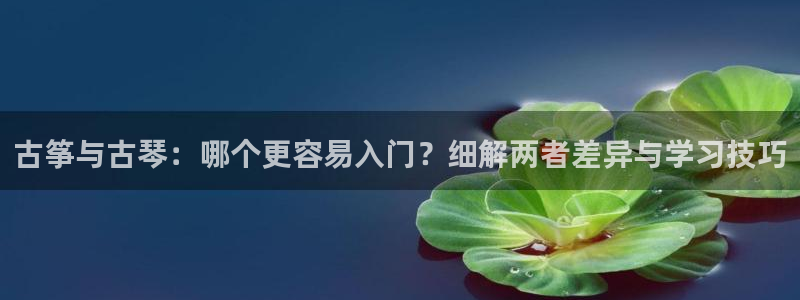 凯发k8娱乐是真实的吗：古筝与古琴：哪个更容易入门？细解两者