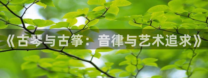 凯发k8ag旗舰厅网址：《古琴与古筝：音律与艺术追求》
