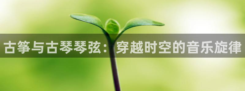 凯发k8娱乐官方版fxzls -安卓3.5