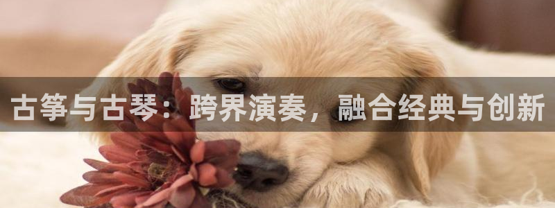 凯发k8娱乐|k808.vip