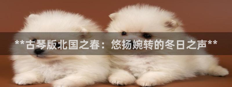 凯发k8娱乐旗舰