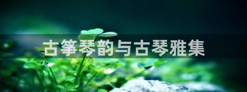 凯发官方网站是多少