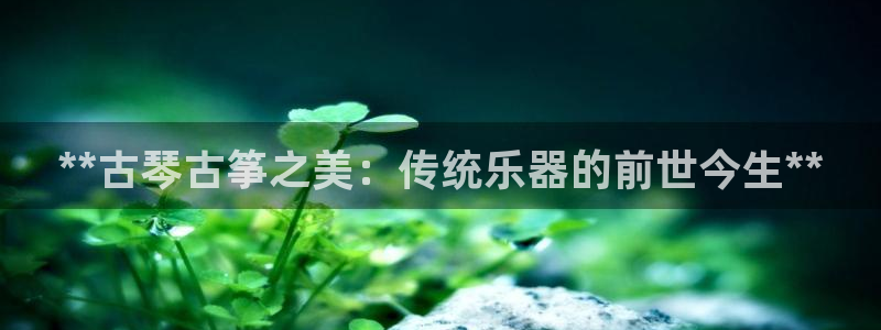 凯发官网|认准kpm