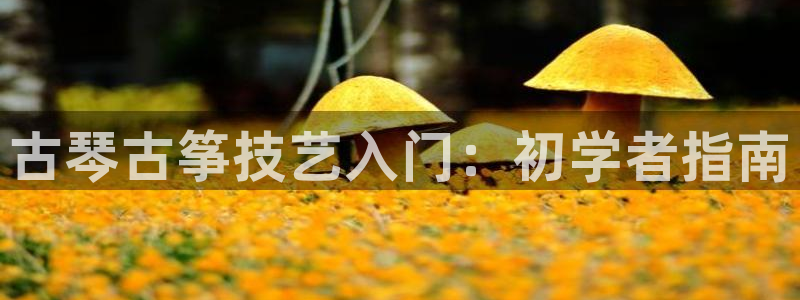 凯发k8娱乐官方下载