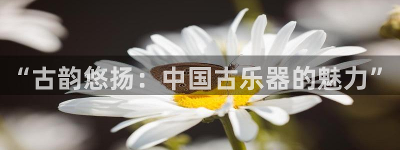 国际凯发k8真人版旗舰厅