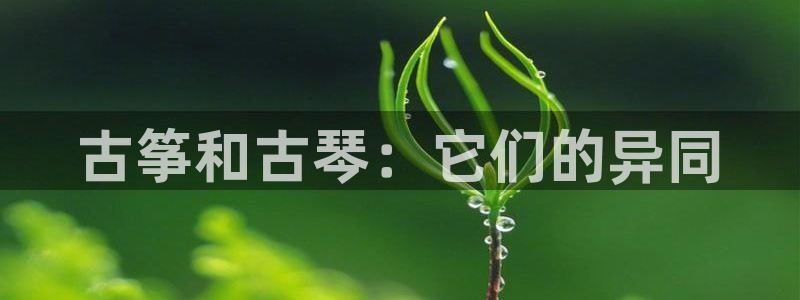 凯发k8娱乐平台