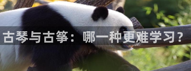 凯发旗舰厅官网