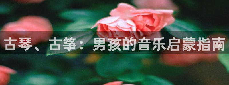 凯发官网网址多少