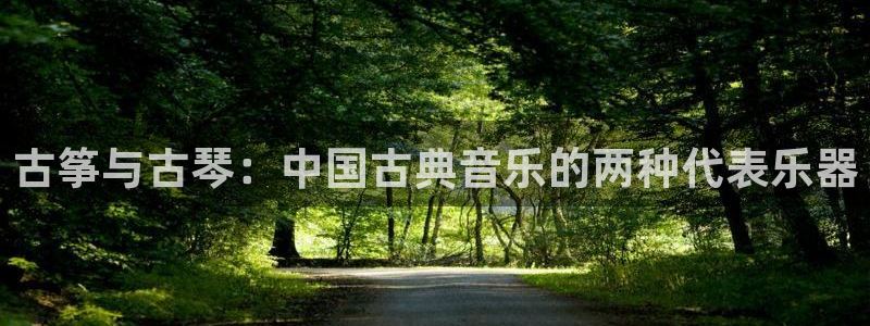 凯发k8国际真人娱乐旗舰厅：古筝与古琴：中国古典音乐的两种代