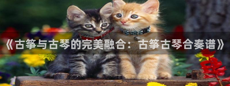 凯发是正规平台吗